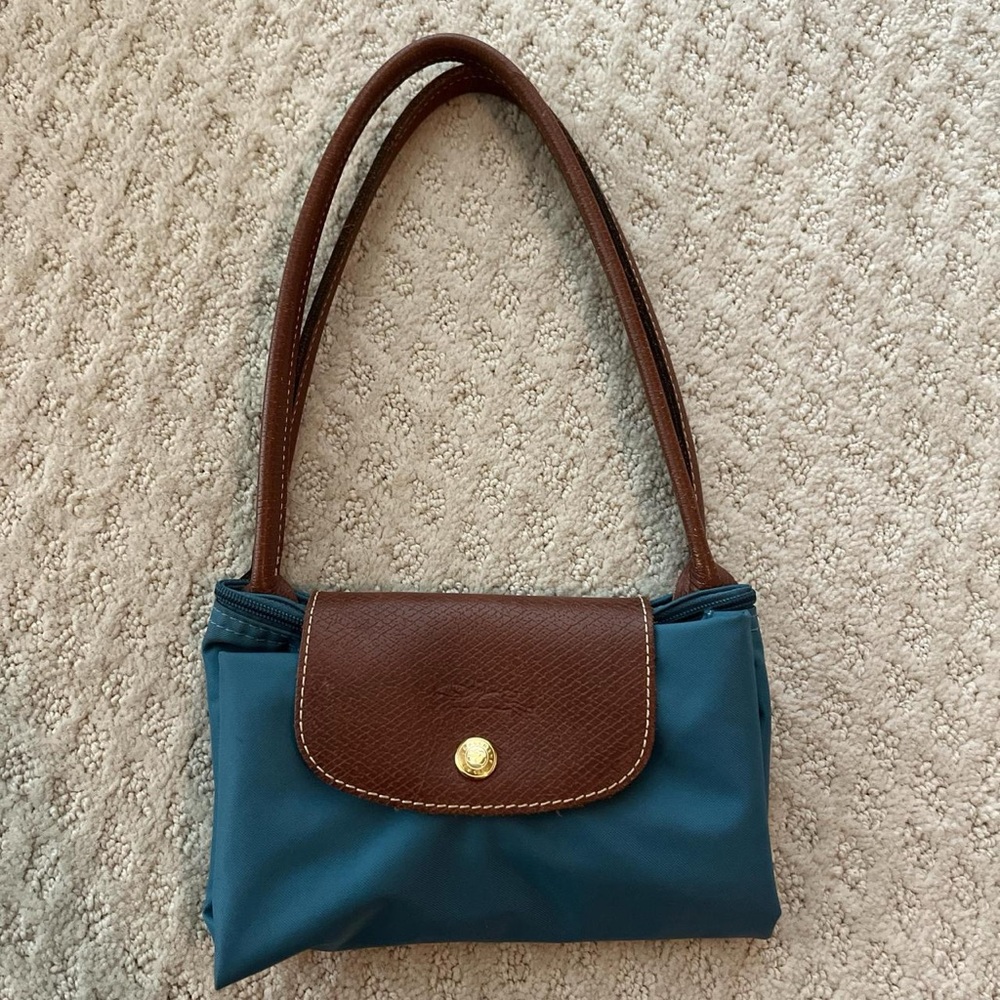Longchamp Blue and Brown Bag